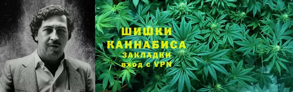 мет Алексин