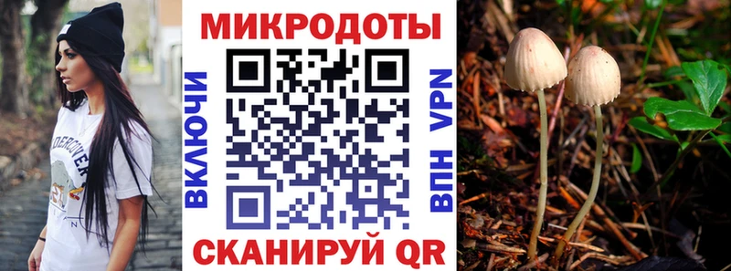 Галлюциногенные грибы Psilocybine cubensis Уфа