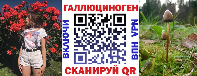 Псилоцибиновые грибы ЛСД Уфа