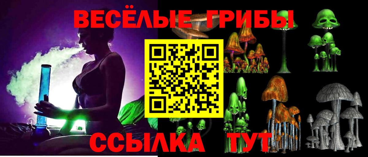 Псилоцибиновые грибы Psilocybine cubensis  Псилоцибиновые грибы MAGIC MUSHROOMS  Уфа  сколько стоит  Вход с VPN 